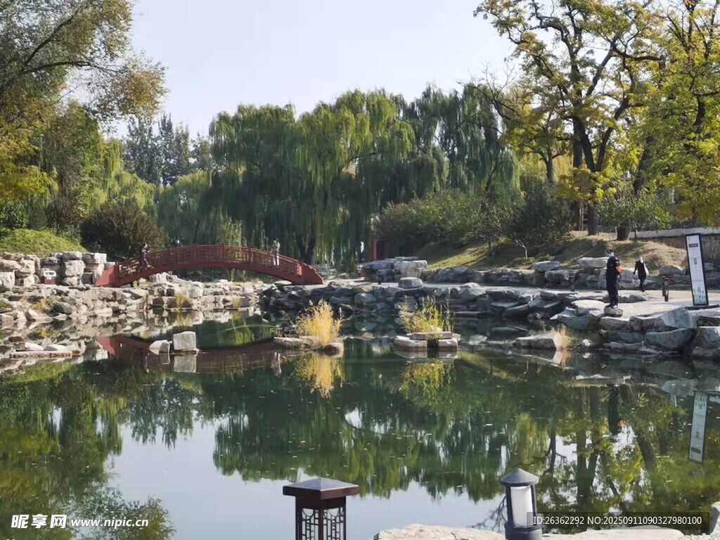 中式园林水景雅致风光