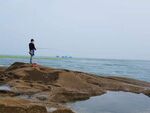 海边孤影静立礁石之上