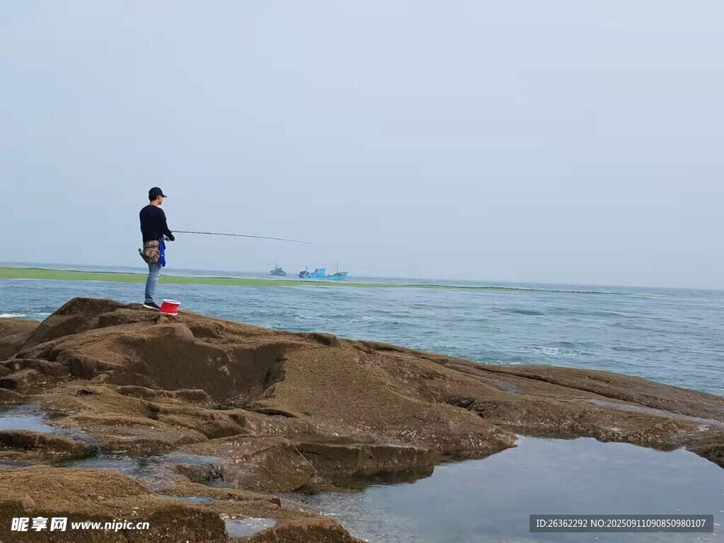 海边孤影静立礁石之上