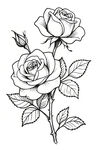 手绘黑白玫瑰花图案