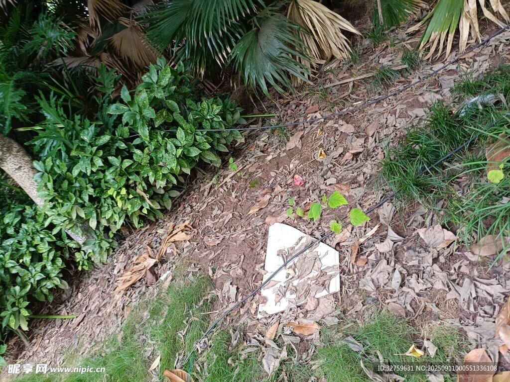 庭院角落绿植与碎石景观