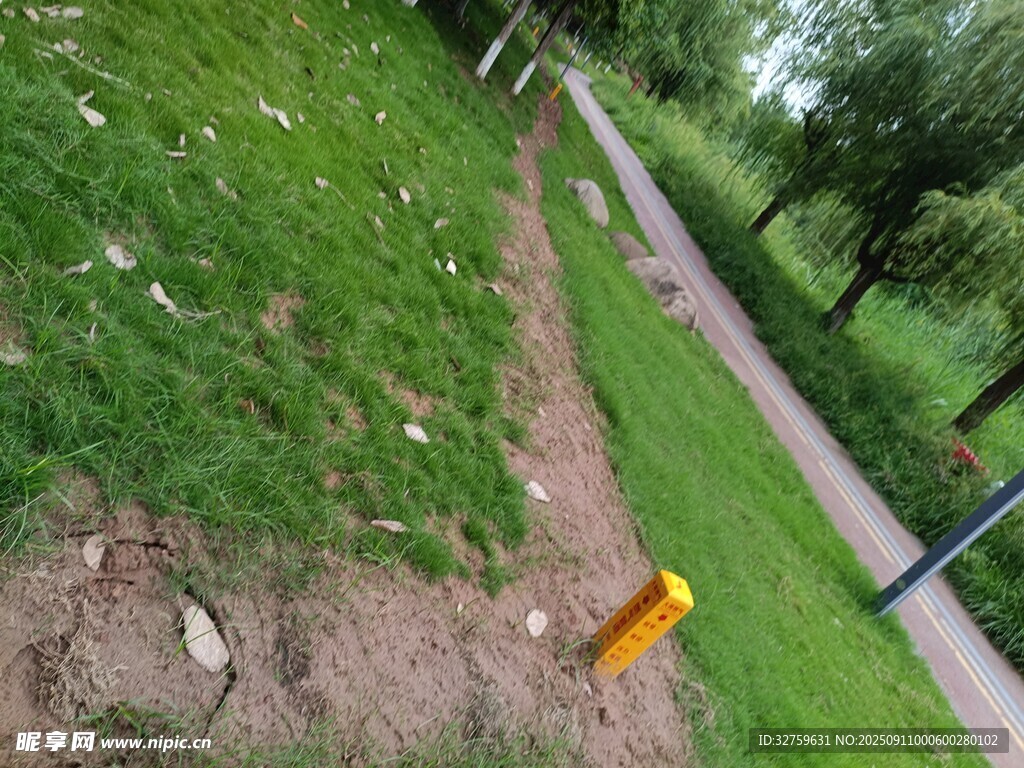 路边草地旁的黄色物件