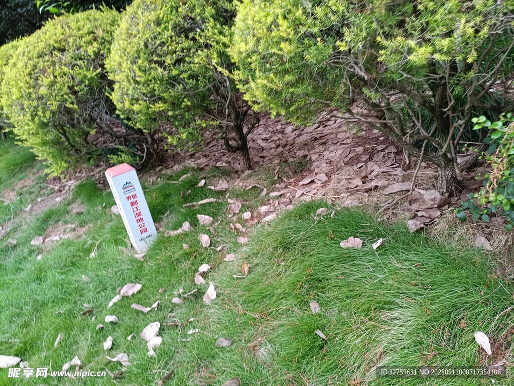 草坪中的白色标识牌