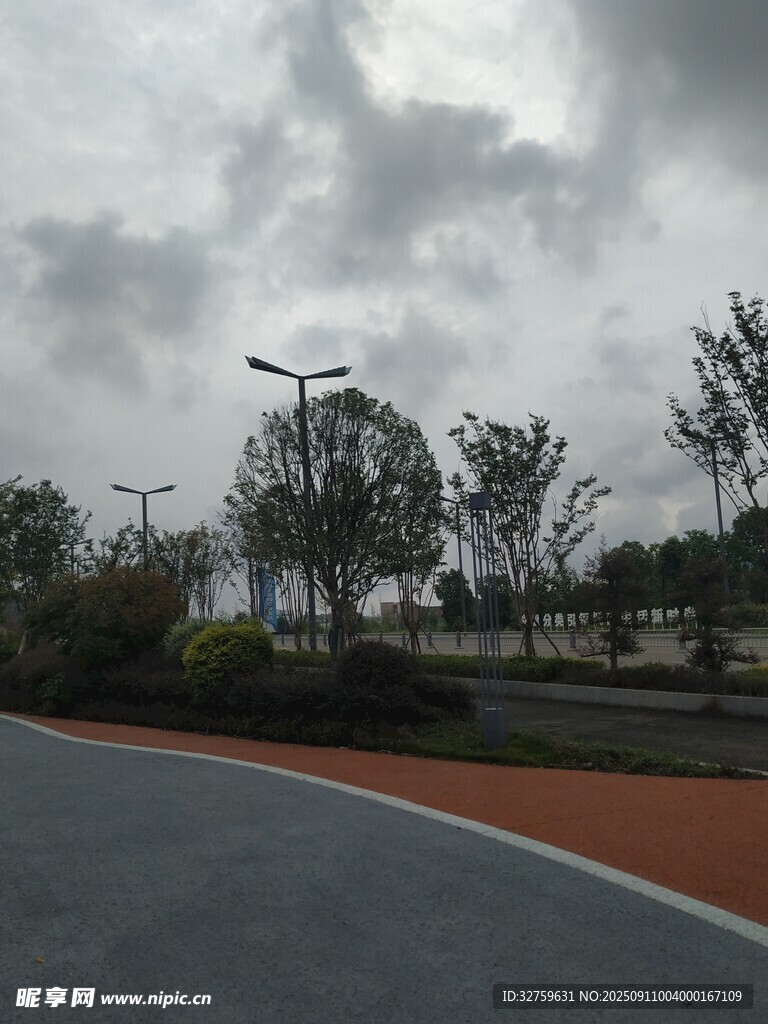 道路旁的树木与阴沉天空