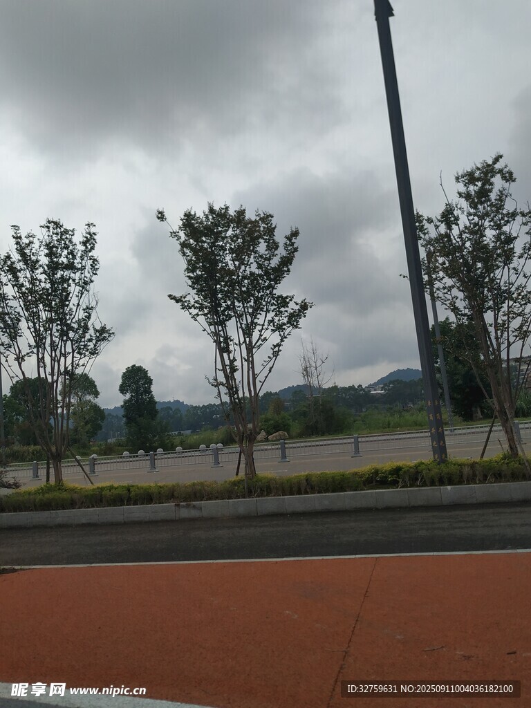 阴天的道路与树木景观