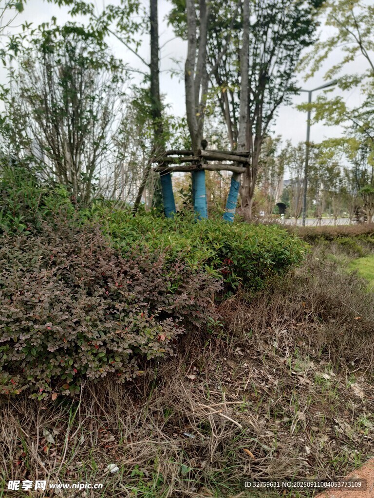 户外绿植环绕的休闲区域