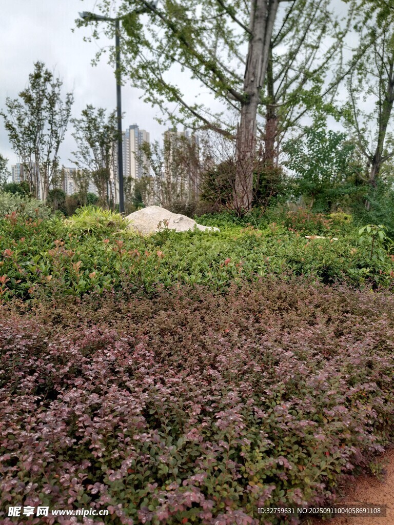 园林绿植景观一角