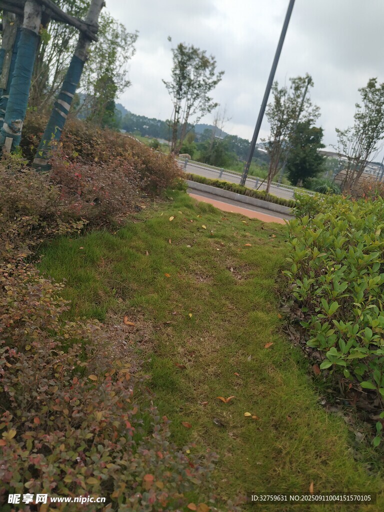 户外绿植环绕的小径