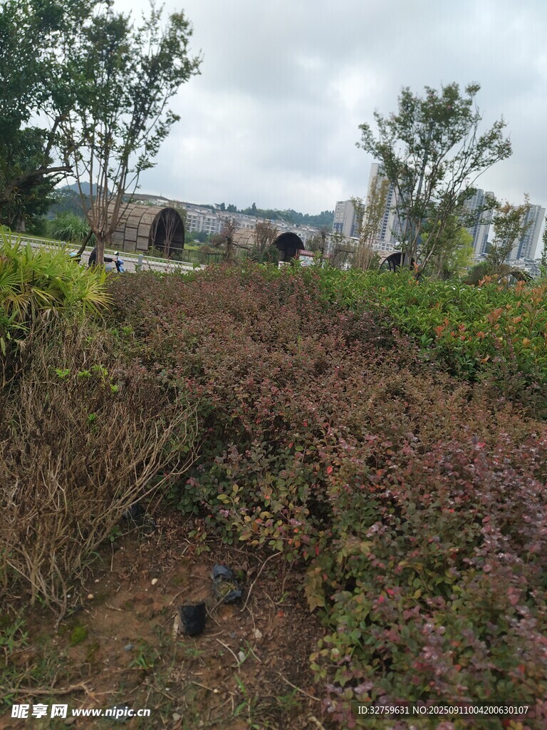 荒地景象