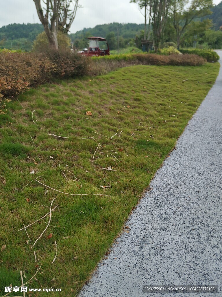 乡村碎石小径旁的翠绿草地