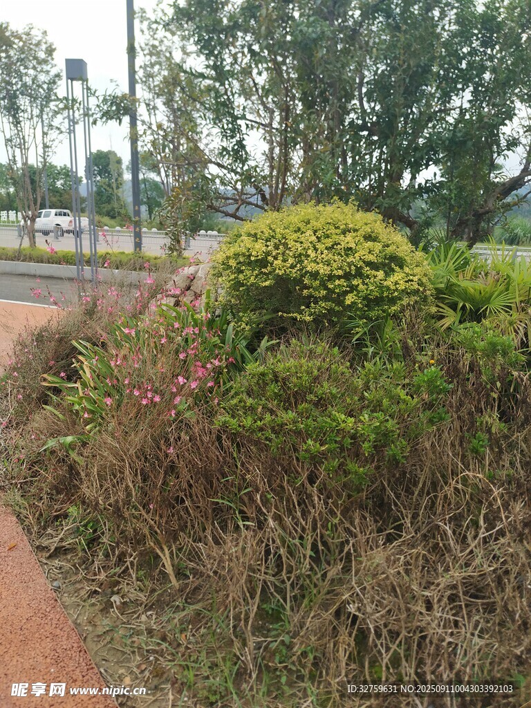 户外绿植景观一角