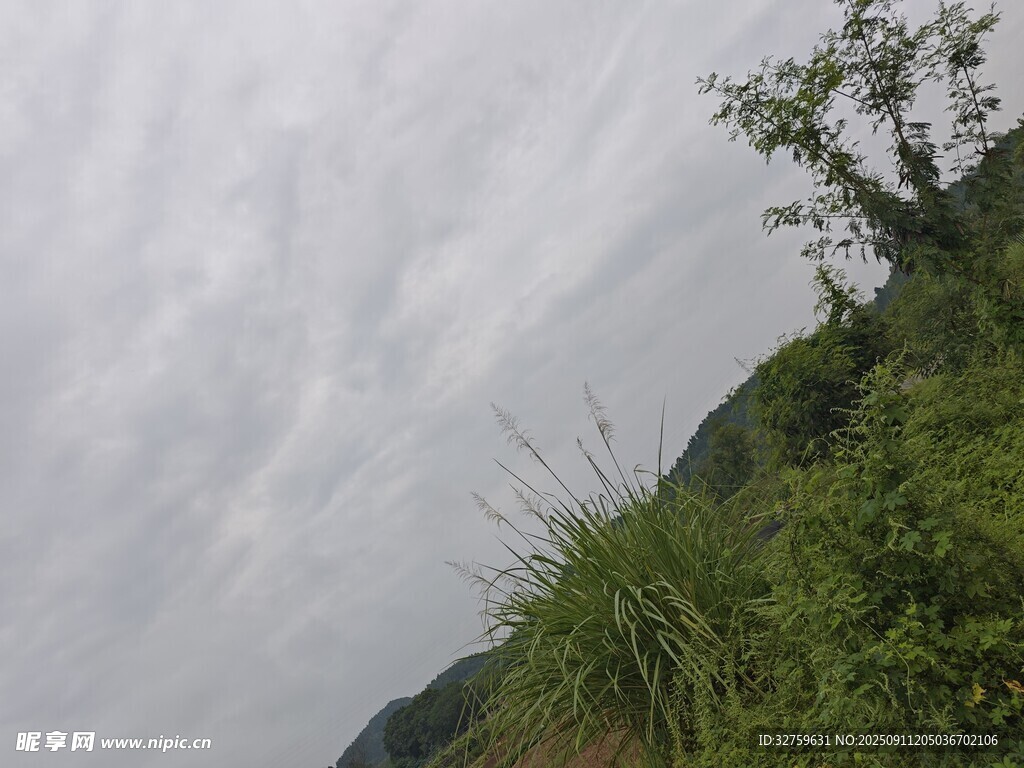 山间绿植与多云天空