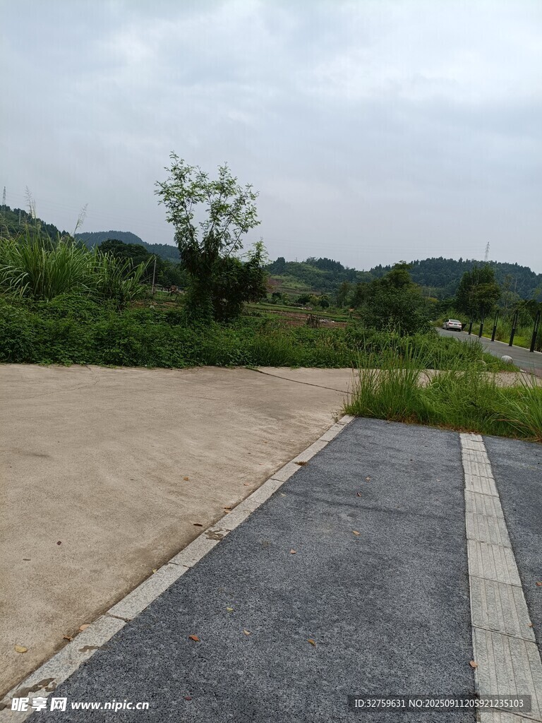 户外空旷道路与绿植景观