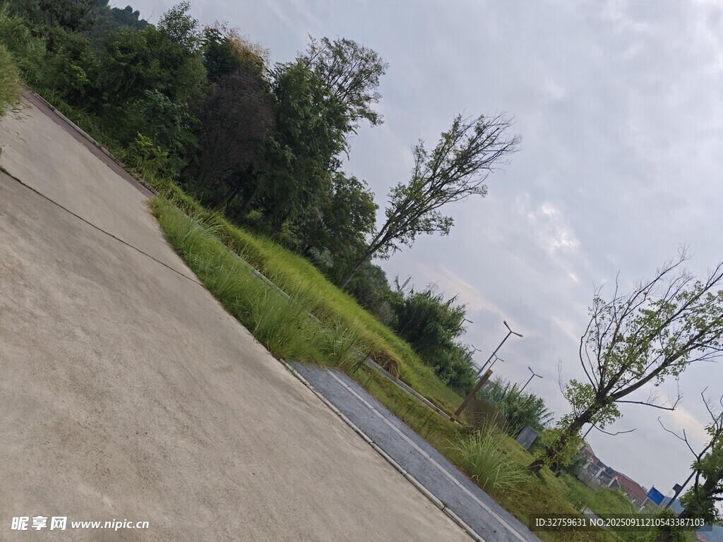 户外道路旁的绿植景观
