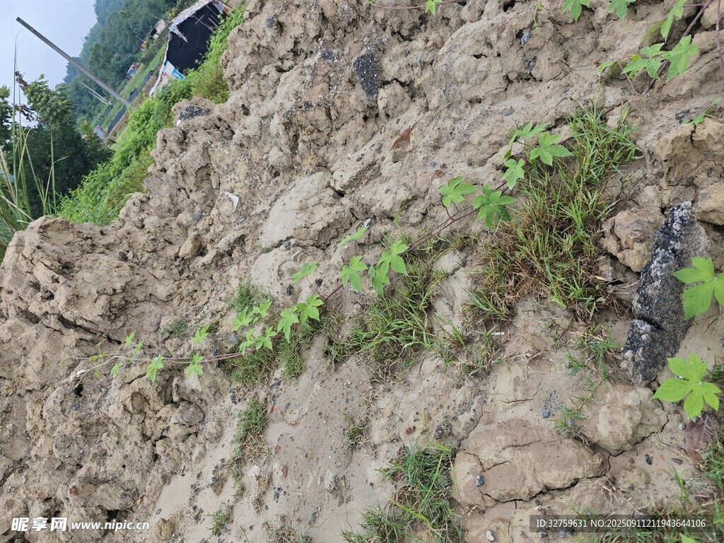 山坡上的泥土与零星植物