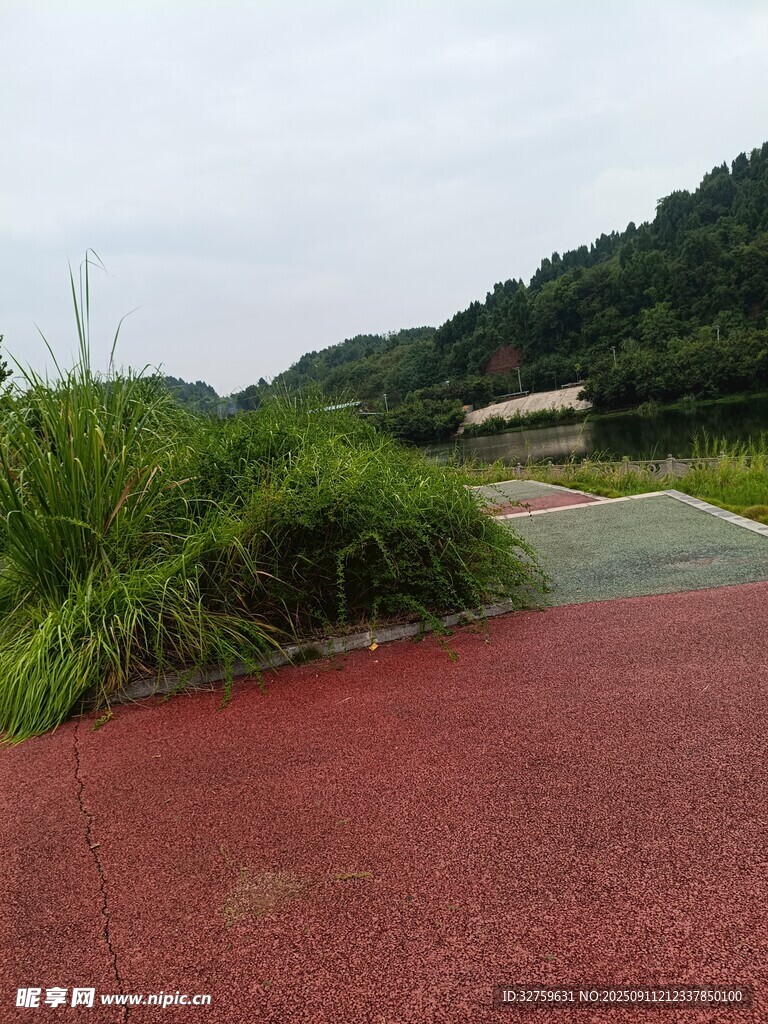 山间红道旁的葱郁绿植