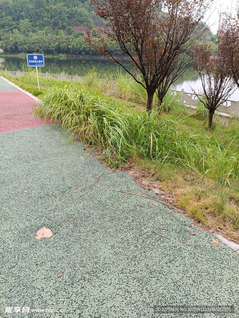 湖边多彩步道与绿植景观