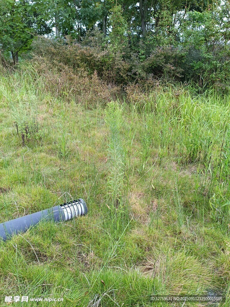 户外草地中的黑色管道
