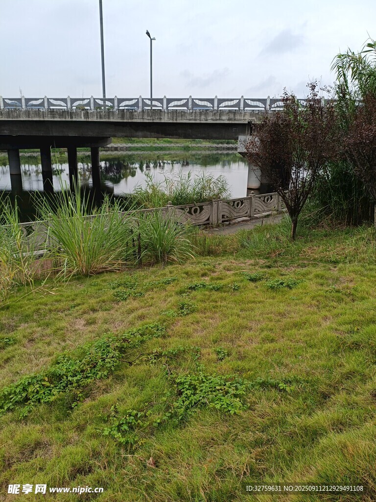 河畔草地与远处桥梁景观