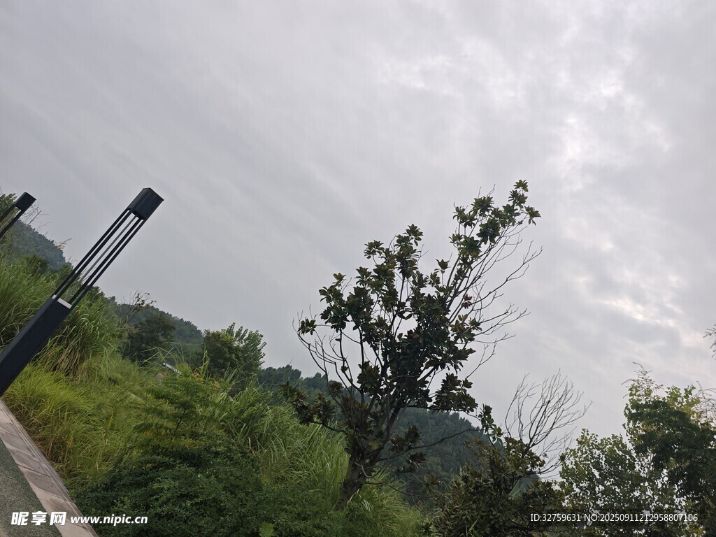 山间小径旁的绿植与天空