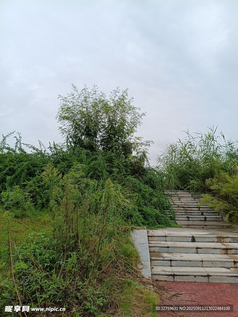 户外绿植环绕的石阶小径