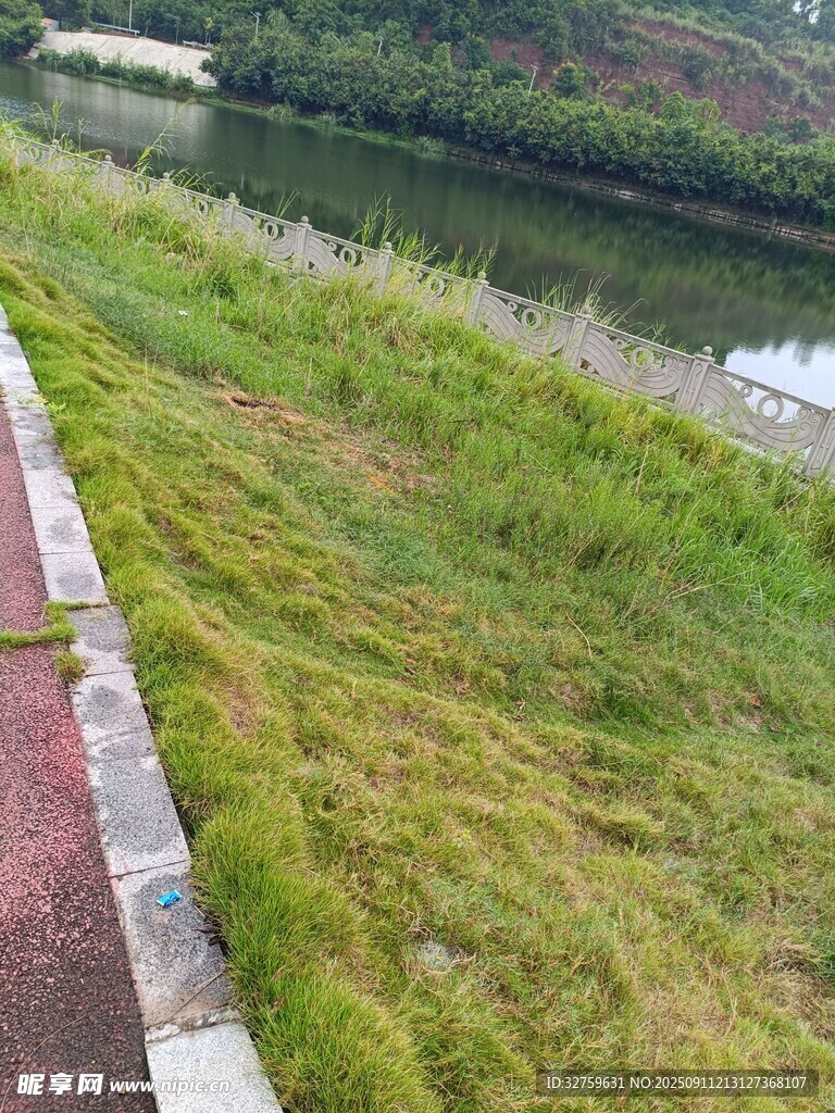 河畔绿草景观