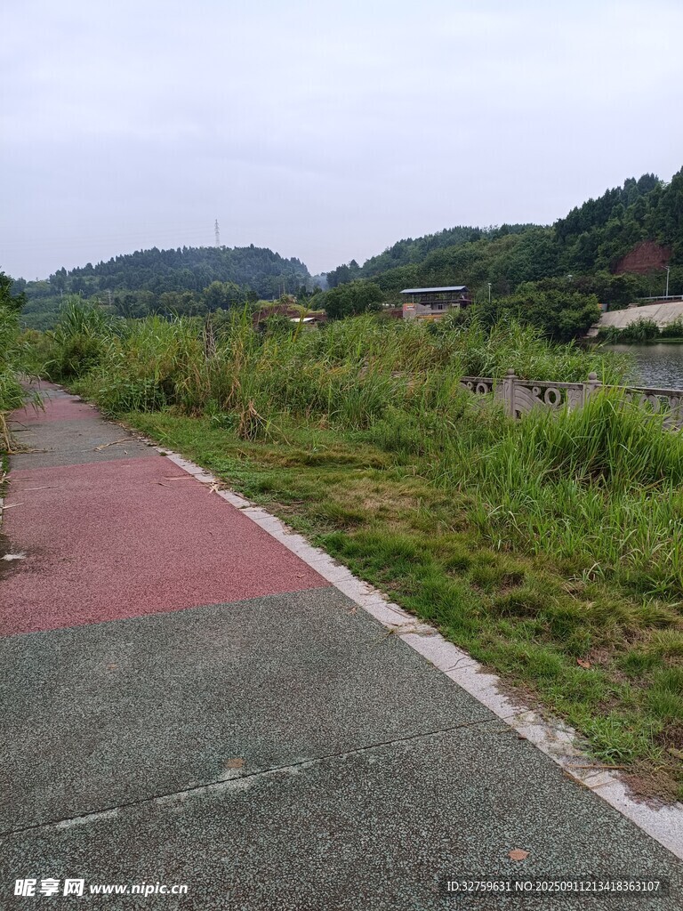 乡村小径 