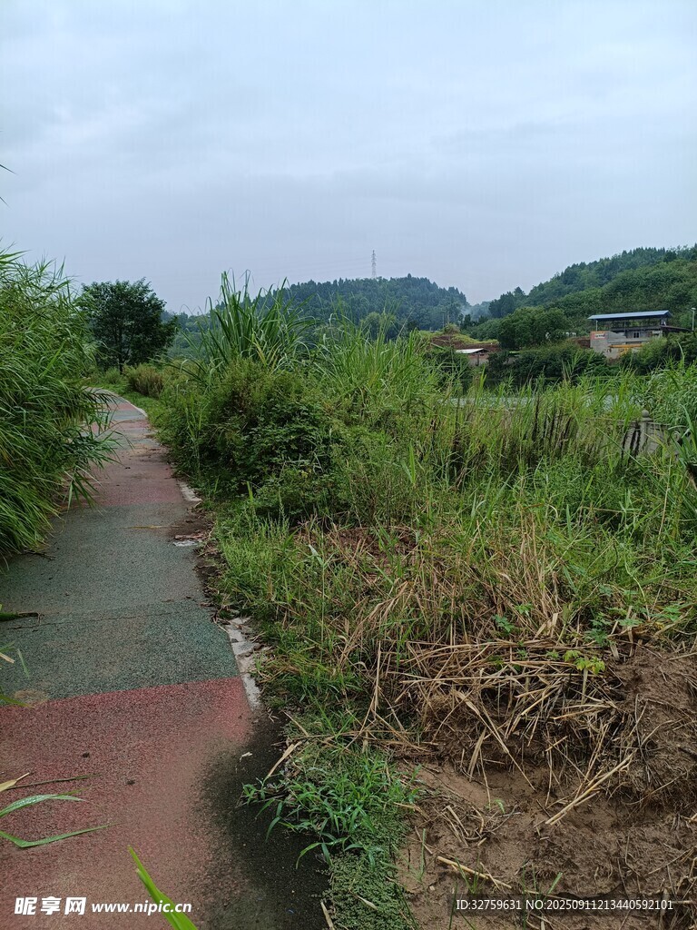 乡间小径 