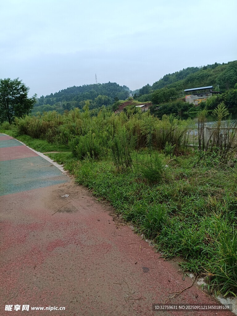 郊外彩色步道旁的绿植