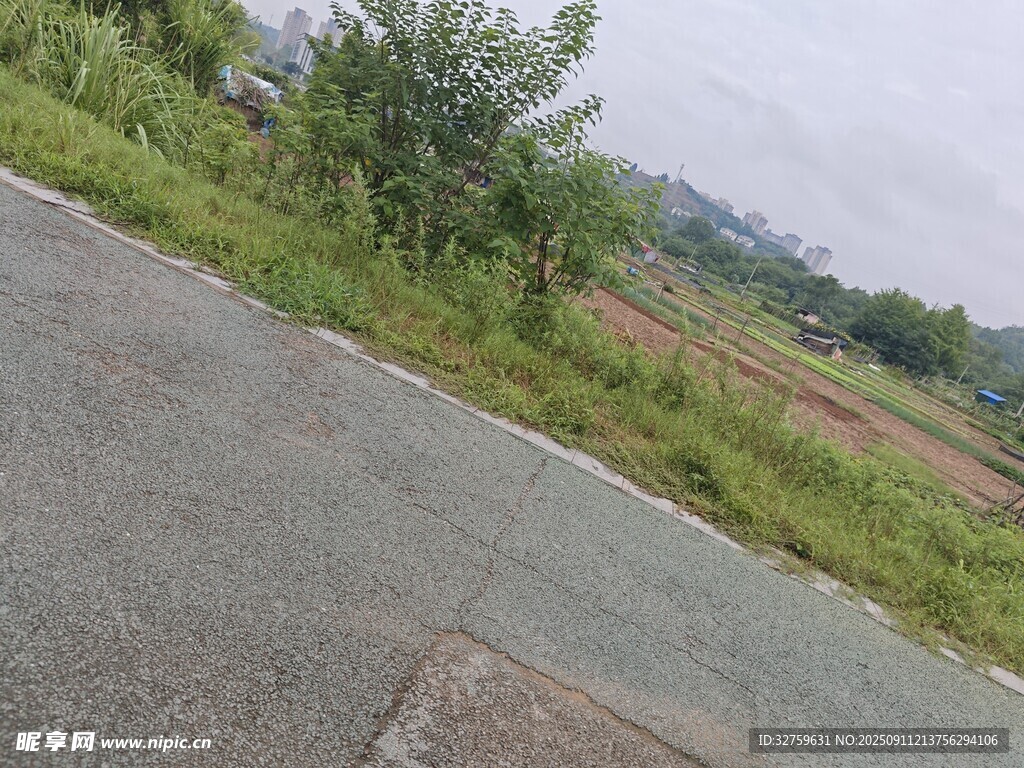 乡村公路旁的绿意景致