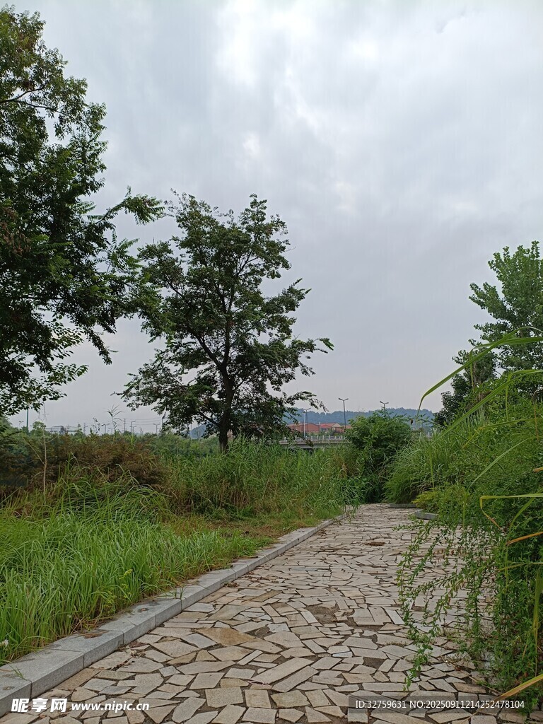 乡间碎石小径 