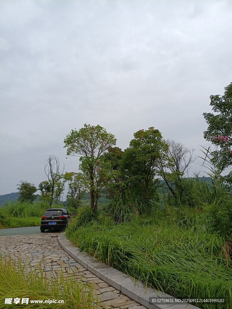 乡村小道上行驶的黑色汽车