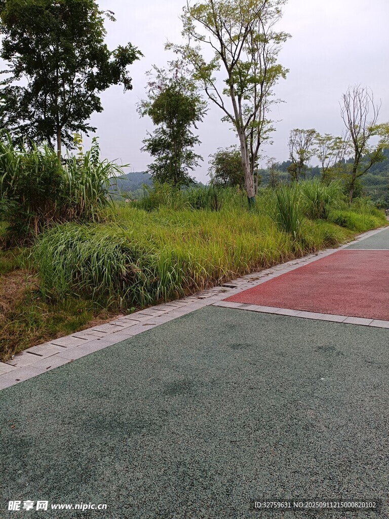 户外彩色步道与绿植景观