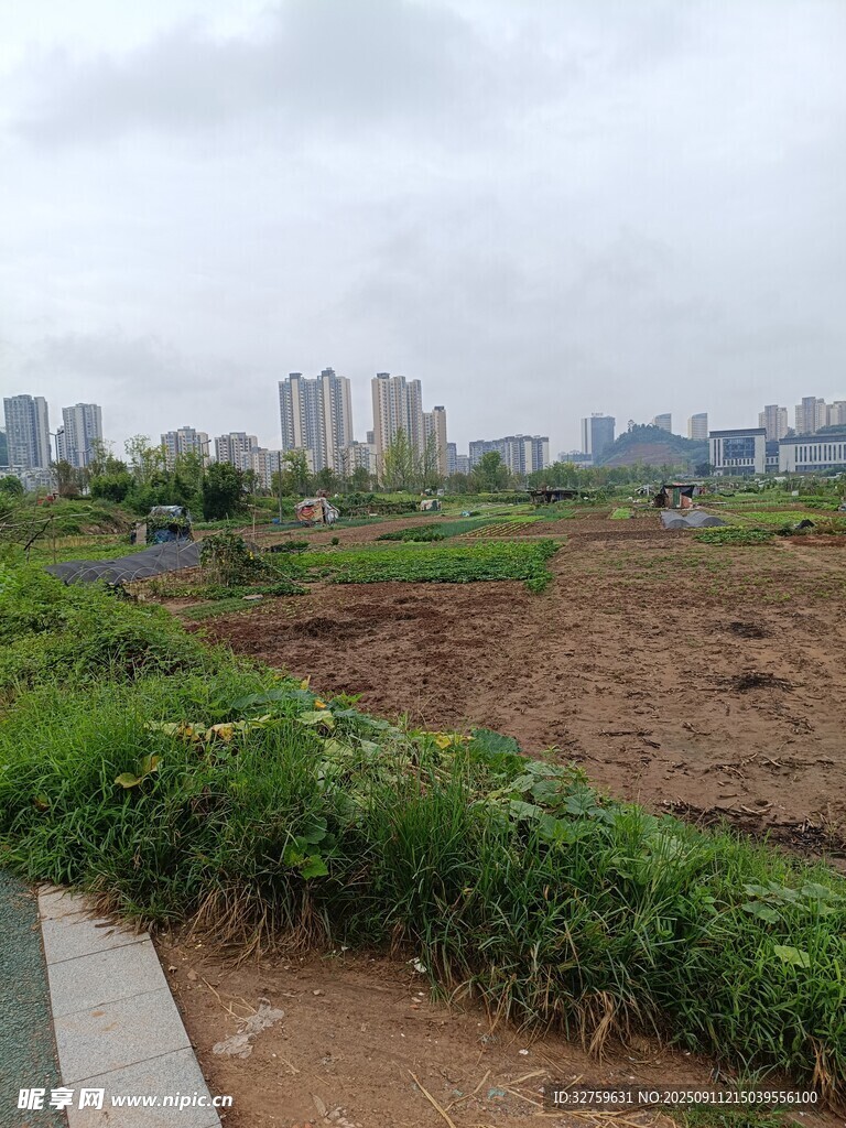 城郊开阔地与远处建筑群