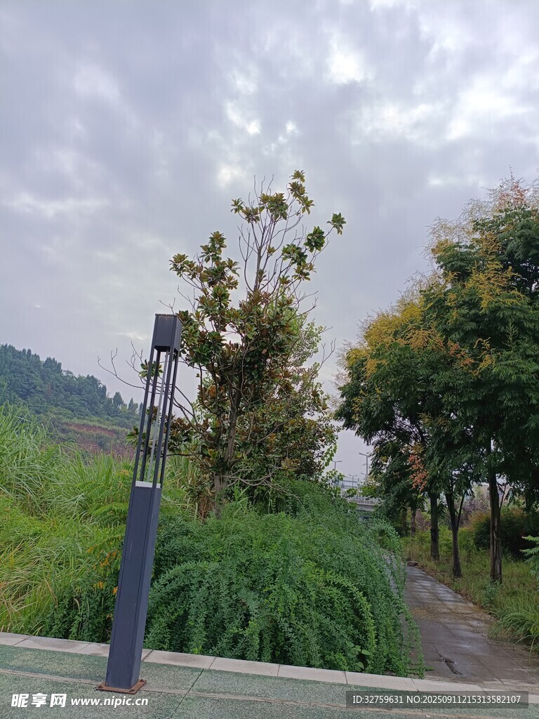 户外绿植旁的黑色柱状物