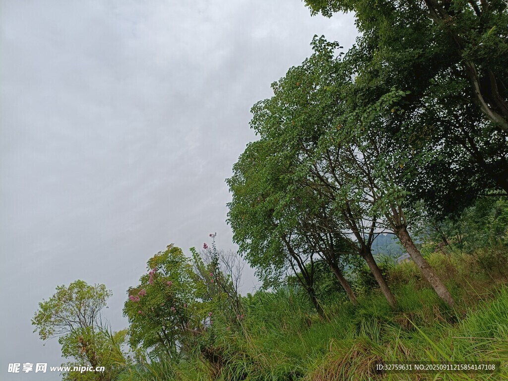 山林绿树间的天空景致