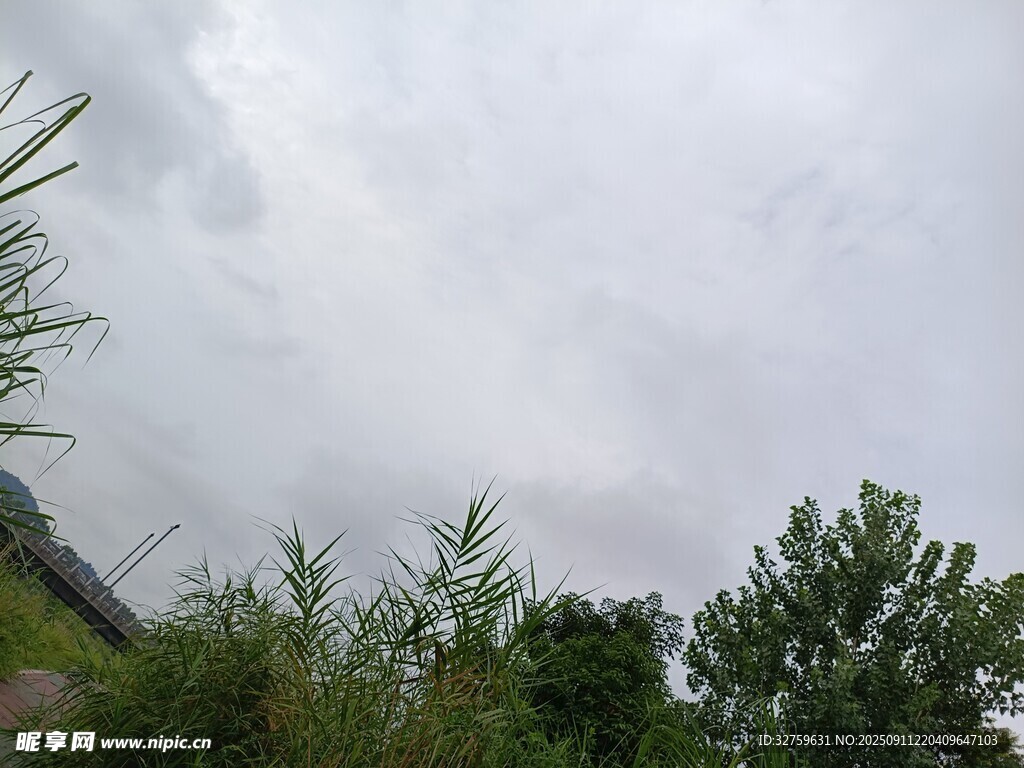 阴天中的绿植与远山