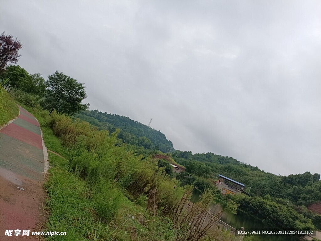 山间公路旁的绿意景致
