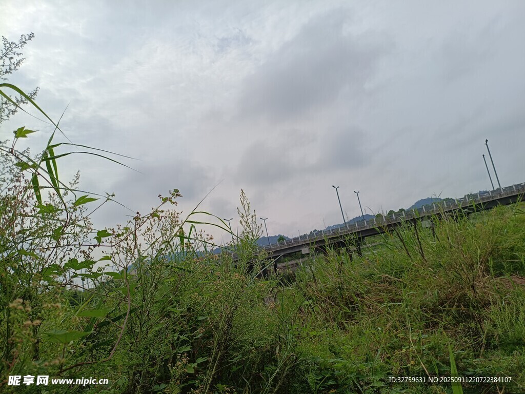 野外草地与远处山峦景色
