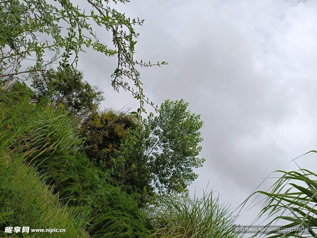 山间绿植与阴沉天空