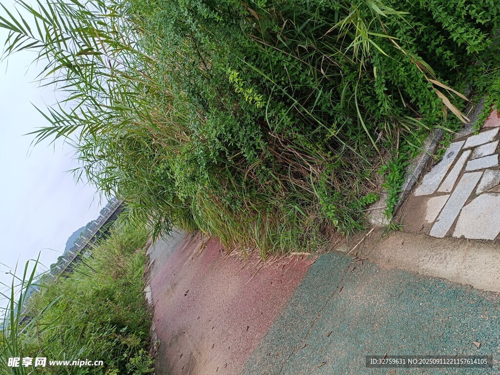 山间彩色步道旁绿植繁茂
