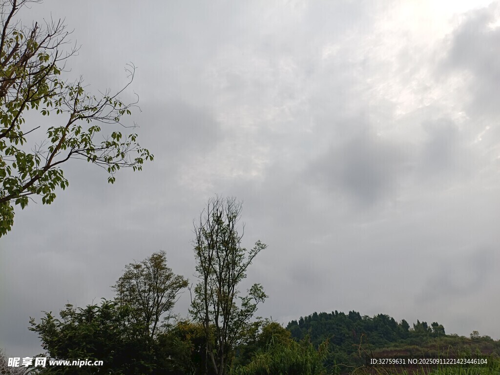 阴天山林景色