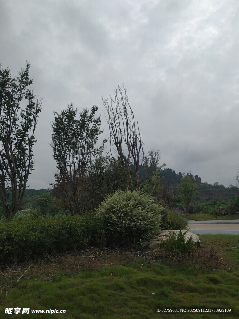 阴天野外风景