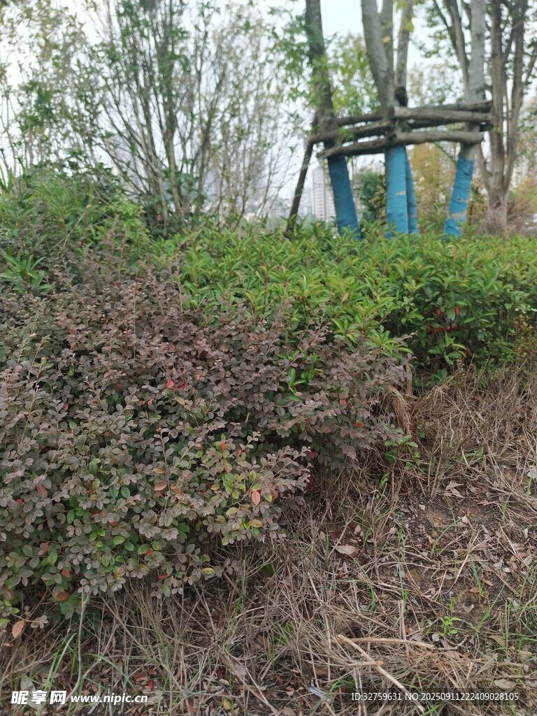 户外绿植与休闲设施景观