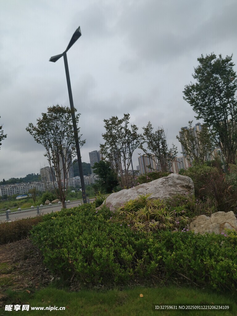 户外景观中的灯柱与绿植