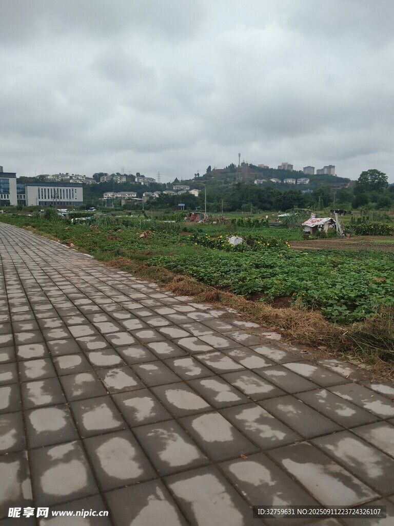 乡村砖铺小路与田园风光
