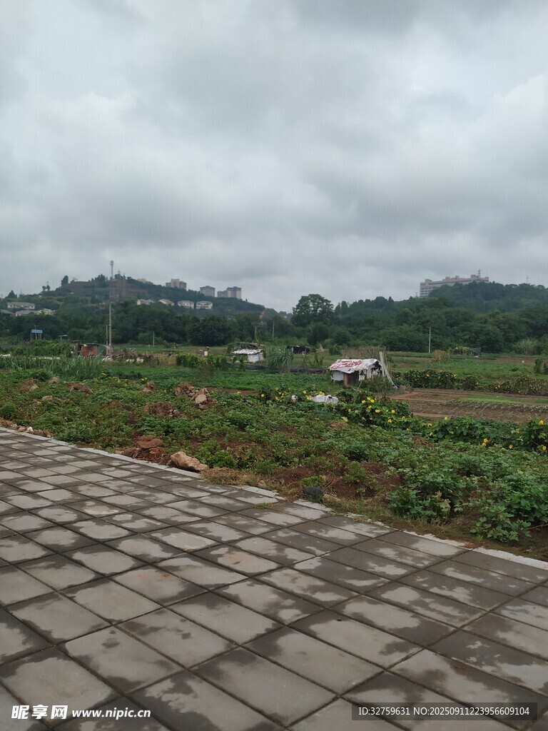 乡村石板路旁的田园风光
