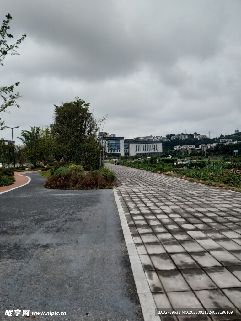 雨中铺石小径与绿植景观