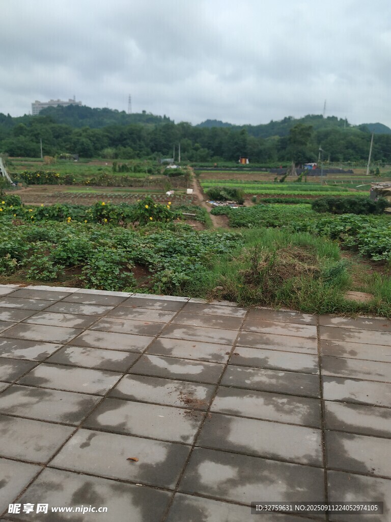 田园风光中的石板路