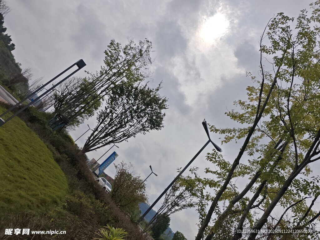 户外绿植与路灯景观
